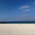 沖縄人にこそ行って欲しい「アラハビーチ」を紹介します